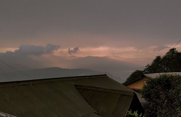 Darjeeling Forests on Foot