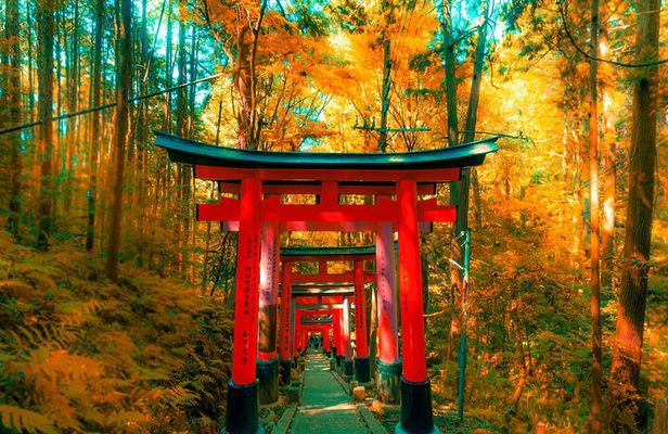 Crowd-Free Kyoto: Fushimi Inari, Nijo Castle & Kinkaku-ji