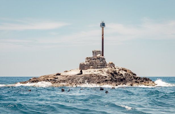 Marine Safari in La Ventana