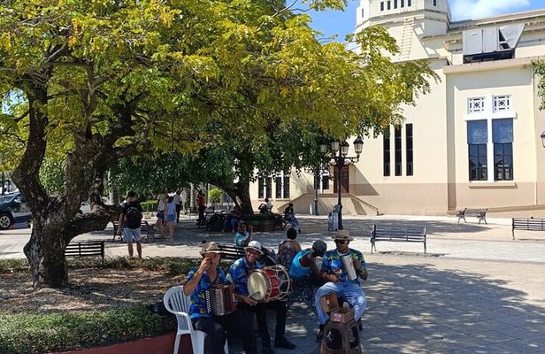 Puerto Plata City Tour and Beach Escape with Piña Colada 