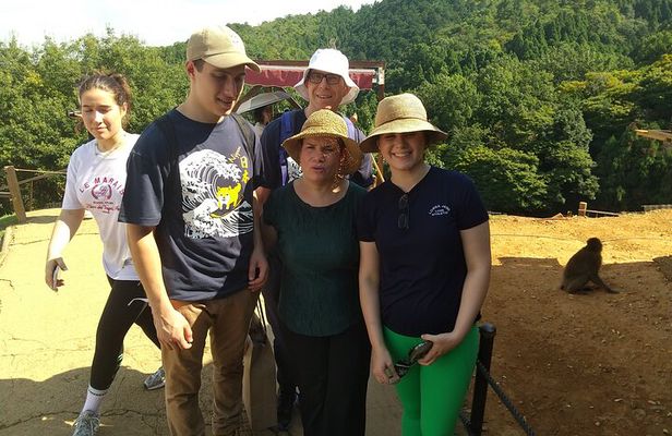 Kyoto: Arashiyama Tenryuji Temple, Bamboo Grove, and Monkeys Tour