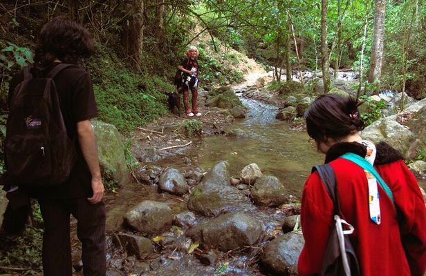 Agroecological farm tour at El Salado