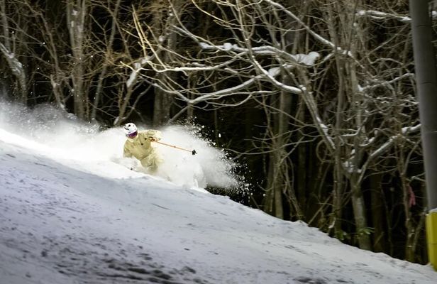 Private 1 Day Ski Tour from Nagano Station