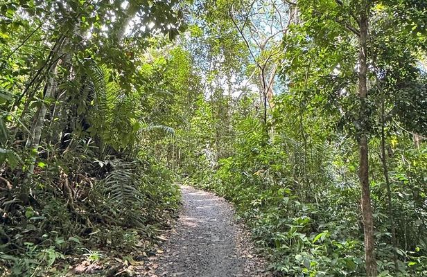 Tour of the 4 beaches and waterfalls in Itacaré