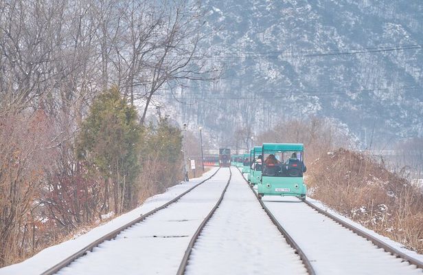 Day Trip to Nami Island with Rail bike and The Garden of Morning Calm