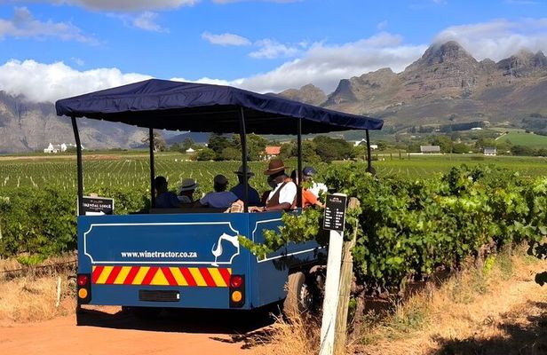 From Cape Town: Stellenbosch Wine Tractor Tour with Vineyard Hops