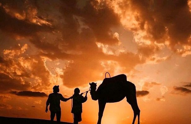 Marrakech:Agafay dinner show with camel and quad with sunset 