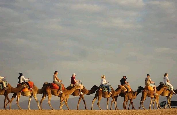 Marrakech: Camel Ride, Quad Bike, Sunset Dinner in Desert Agafay