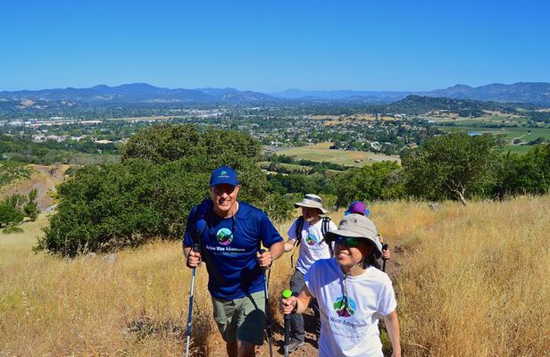 Napa Private Hike and Wine Tour