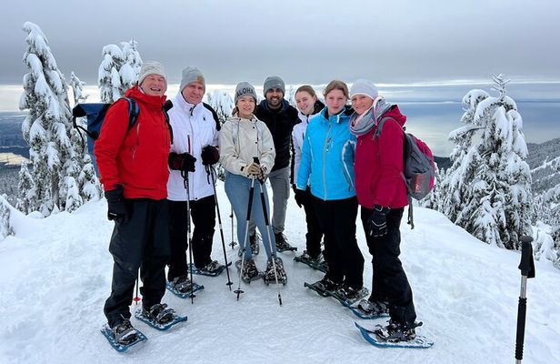 Grouse Mountain Snowshoeing Adventure with Scenic Skyride