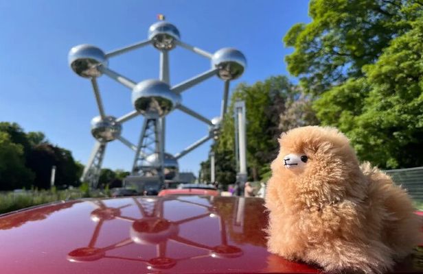 Private Guide Walking Tour in Brussels with 4 Tastings