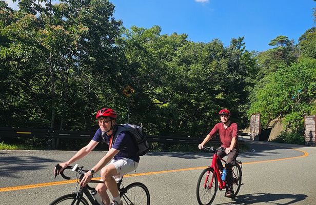 Osaka E-bike Adventure: Minoh Falls and Katsuoji Temple