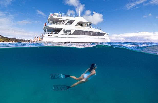 Dolphin & Tangalooma Wrecks Snorkel Cruise & Lunch - Brisbane