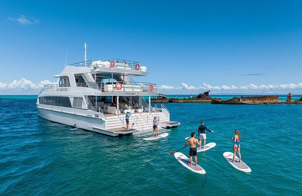 Dolphin & Tangalooma Wrecks Snorkel Cruise & Lunch - Gold Coast