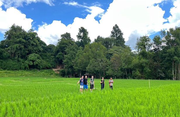 1 Day Trek and Bamboo Rafting Tour in Chiang Mai