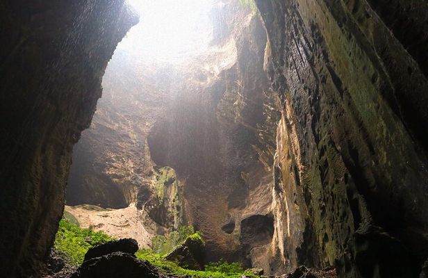 Sandakan: Gomantong Cave Echoes and Kinabatangan Cruise