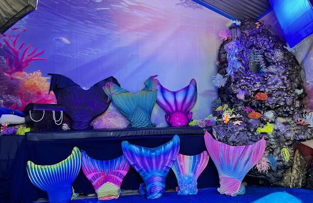 Dress up experience like a Mermaid in Avalon