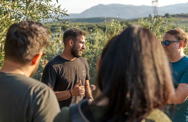 Private Bespoke Day with a True Local Insider