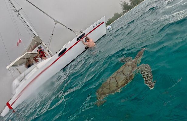 NEW! Small group catamaran Snorkel & sail