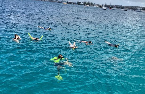 Private catamaran sail & snorkel 