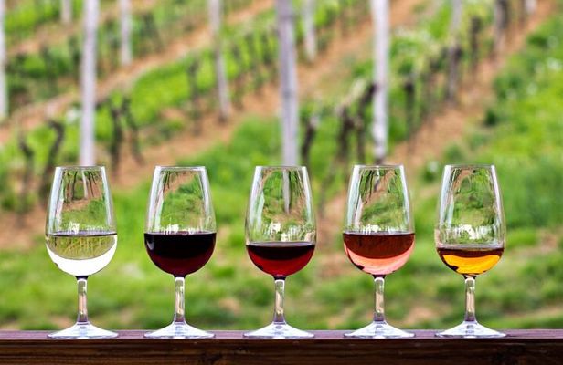  Franschhoek Private Car Tour from Cape Town