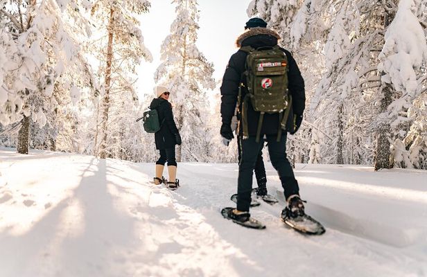 Snowshoeing in the Arctic Wilderness Rovaniemi