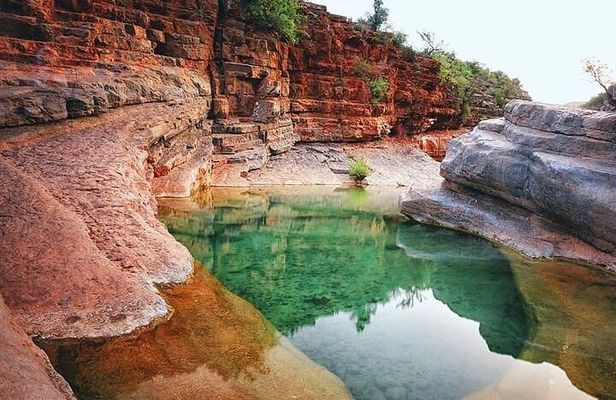 Excursion to Paradise Valley with Group