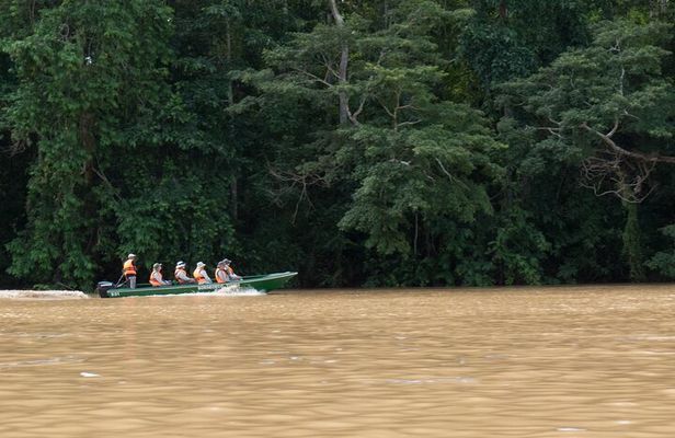 Sandakan: 2D1N Sukau Rainforest Wildlife Journey and Cruises
