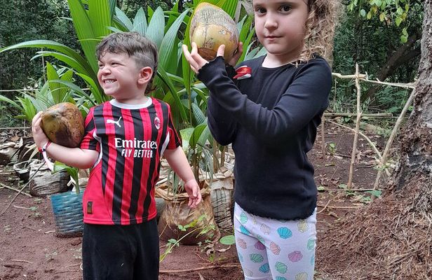 Zanzibar Organic Spice Farm Tour With Lunch