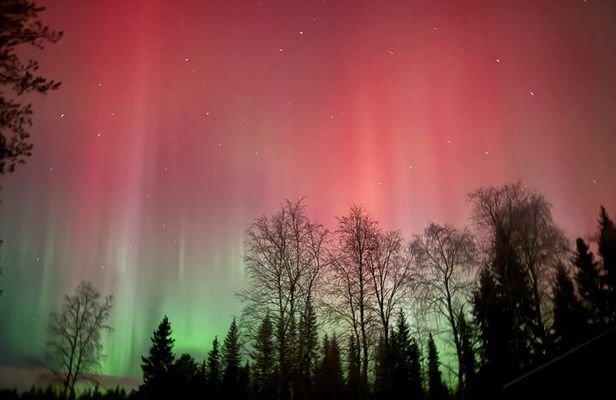 Guaranteed Northern Lights Tour in Rovaniemi