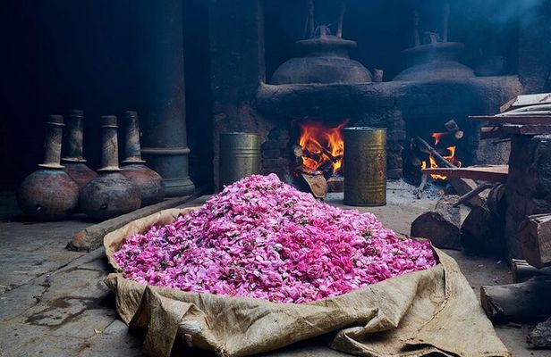 Experience Kannauj the perfume capital from Agra in Private Car