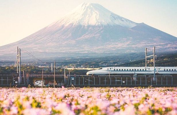 Tokyo to Mount Fuji Private Guided Experiences 
