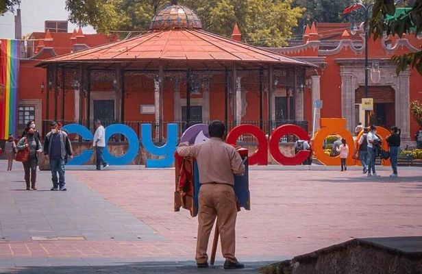 Mexico City : Frida Kahlo, Xochimilco & Coyoacán Tour