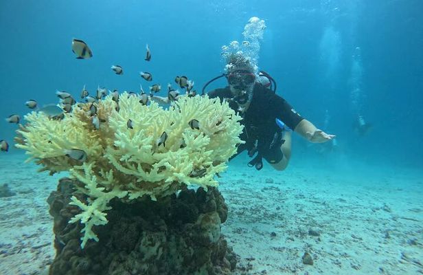 Phuket Racha PADI Discover Scuba Diving 2 Dives and GoPro