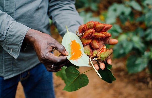 Experince Spice Tour by Bike With Swahil Lunch
