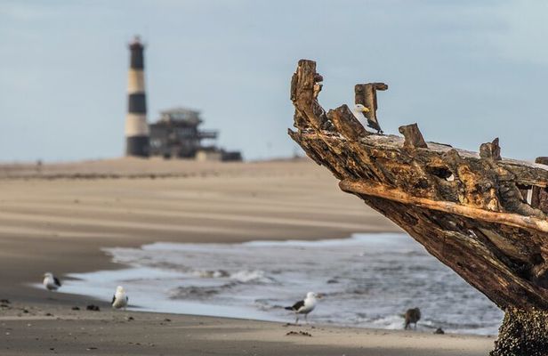Namib Desert: Pink Salt Lakes, Seal Colony, Moon Valley and Dunes