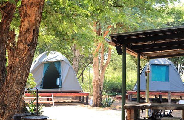 2 Day Tlou Tented Safari Camp in Pilanesberg 