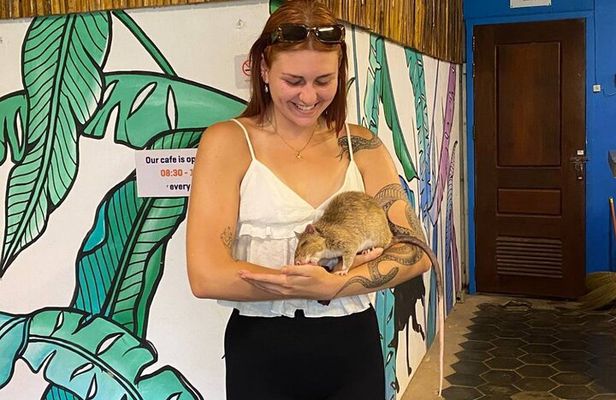 War Museum, Killing Field, and APOPO Hero RATs Tour