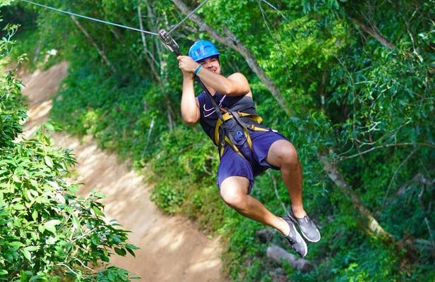 Jungle Adventure Atv , Ziplines And Cenote Swimming 