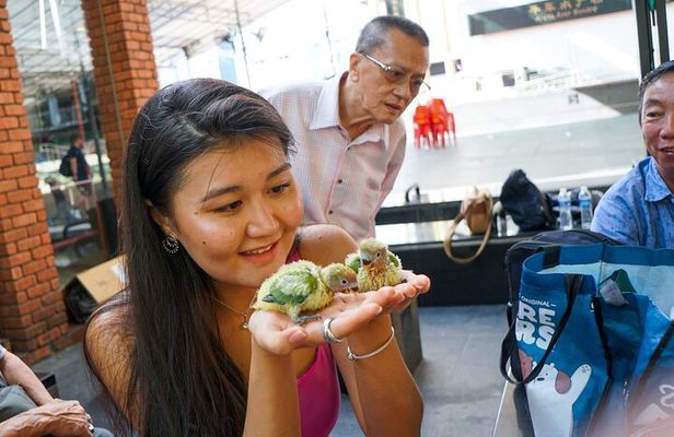 Feel the Heartbeat: A Singapore Chinatown Walking Tour