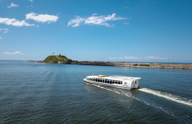 Newcastle Harbour Luncheon Cruise