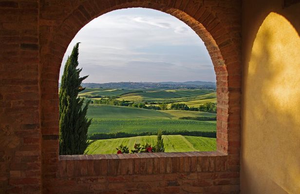 From Florence Chianti Wine Tour with Tastings Half Day