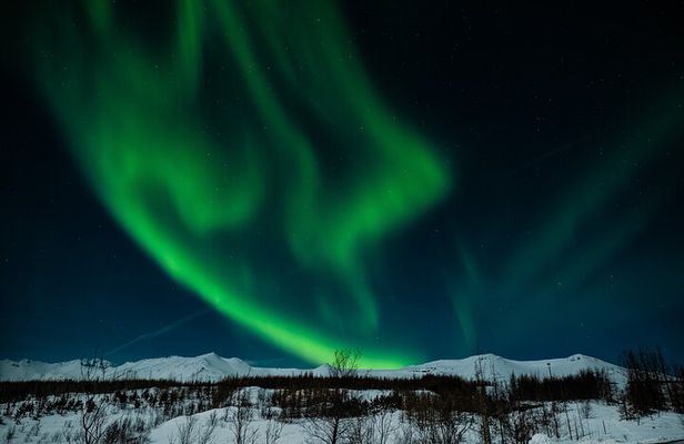Northern Lights Tour from Akureyri