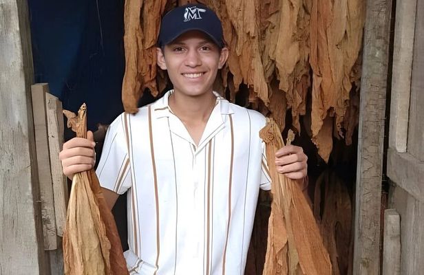 Learn the Art of Making a Cigar