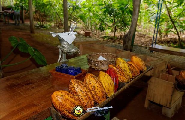 Chocolate Tour Basic: Self-drivers without lunch