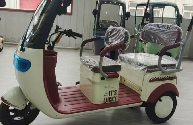 Eco Friendly TukTuk’s Arts and Historic City Tour & Rentals