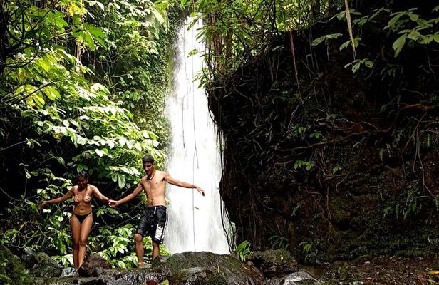 Lombok Private Trip: 4 Waterfalls, Rice Fields & Jungle Trek