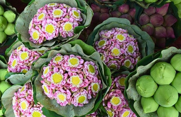 Bangkok Lotus Fields, Orchid Farm, and Flower Market Tour