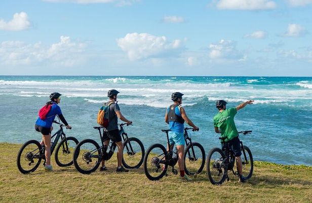 Wild South E-bike Adventure