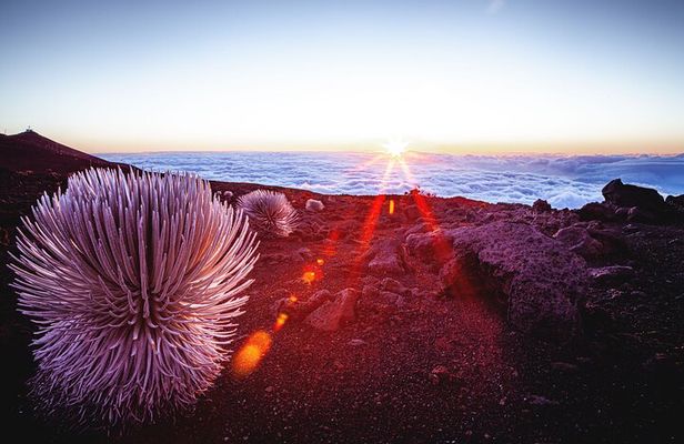 Haleakala Volcano & Ocean Vodka Sunset Tour